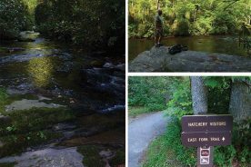 082d0c62-37ba-11e6-a3af-129cbb969ec3-SouthCarolina_sFoothills