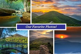 093a9542-1075-11e5-9018-22000b078648-Collage