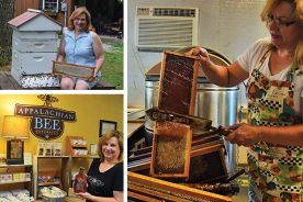 09853e30-7109-11e6-ab79-0a53cdaf7da3-TheInadvertantBeekeeper