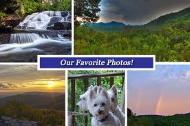 0a81f512-4f71-11e6-aa21-12955eaaf839-Collage_July_22