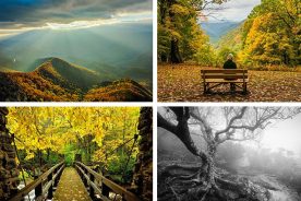 0ba6b9fc-5601-11e4-aee4-22000a4f82a6-Collage