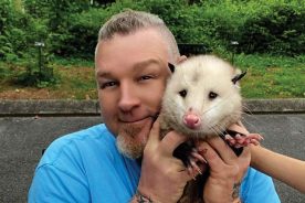 Raccoons and opossom are two animals for which Jerry Harvey has special affection.