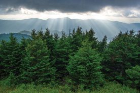 Evening light busts through storm clouds late in the evening from the summit of North Carolina’s Mt. Mitchell, the tallest mountain east of the Mississippi River.