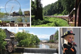 0e42b9da-4e4b-11e4-b9aa-22000a4f82a6-Smokies