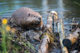 0f08a3cc-1686-11ee-8606-12163087a831-AdobeStock_169048114