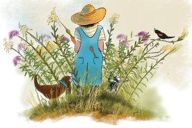 0f417d8e-0154-11ed-bfe4-12274efc5439-7