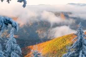 Richland balsam overlook on the blue ridge parkway in North Carolina (milepost 431). From the photographer: “the forecast was calling for some low clouds, precipitation and cold temperatures overnight, so I knew there was an opportunity to possibly catch two seasons in one photo the next morning. I had to drive to the highest point on the blue ridge parkway to find frost, but it was well worth the effort.”
