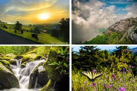 124fc48c-2ef7-11e4-b5e9-22000a4f82a6-Collage