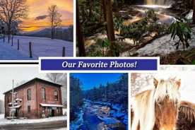 143d8cbe-c364-11e4-bd97-22000a4f82a6-Collage