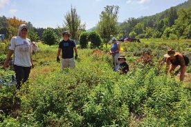 Agri-therapy promotes healing through the act of digging in the dirt.