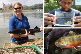 15cd9c12-efd6-11e7-bb27-121bebc5777e-Water-Woman