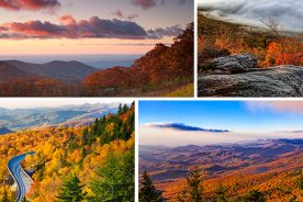 15dd1efa-23b8-11e4-9b5f-22000a4f82a6-Fall-Photos-2014-Jim-Ruff