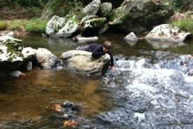 161de324-4306-11e3-9741-1231394043be-AdenBottomCr101313