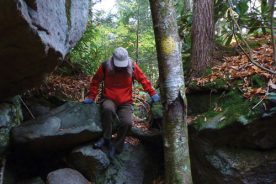 16844a56-e3aa-11e4-beaf-22000a4f82a6-ElakalaFalls