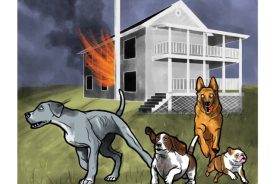 169b9c0c-7106-11e6-a093-0a53cdaf7da3-10Lessons