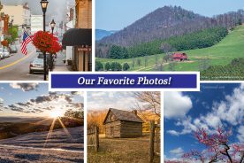 16ce4fae-fcfc-11e5-b094-22000b078648-Collage