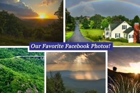 188ce580-2679-11e5-a7bf-22000b078648-Collage