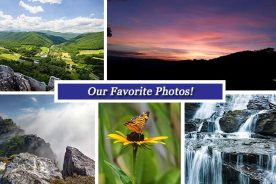 18ae7464-49ed-11e6-bb73-0ac832bca79b-CollageJuly15