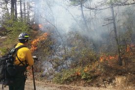 19659a76-90ad-11ef-8147-12163087a831-RosesMtnRx