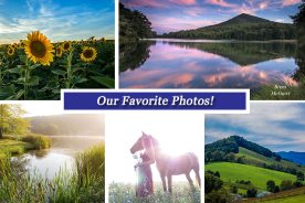 19ac5072-5d79-11e5-8b13-22000b078648-Collage