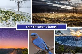 19b82656-e17f-11e5-8aee-22000b078648-Collage