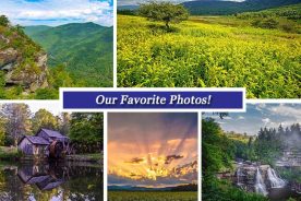 1a284972-7b7b-11e6-ae1e-0a161eac8f79-Collage_Sept_16