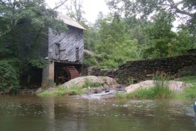 In North Carolina, more than twenty-six miles of the New River has been declared Wild and Scenic by both the state and federal governments. This is where Dog Creek joins the New, where the Wild and Scenic section begins