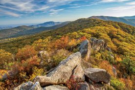 Marys Rock Trail is a 3.7-mile out-and-back that rewards with great views of mountains and Page Valley, Virginia.