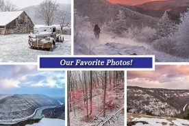 1b4cc958-c079-11e5-af3d-22000b078648-Collage