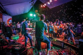 Albino Skunk Festival events offer bluegrass, folk, Americana and more in Greer, South Carolina, May 9-11 and October 3-5.