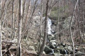 Fallingwater Cascades