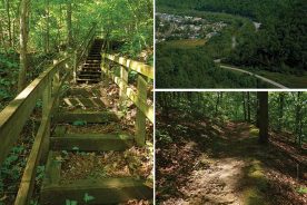 1c4b3b5e-9d3d-11e6-9bab-0aea2a882f79-JennyWiley