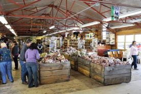 The Orchard at Altapass on along the Blue Ridge Parkway sells apples and other wares in its comfortable shop.