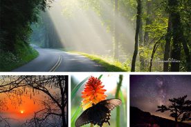 1d42b530-18cb-11e4-8e9b-22000a4f82a6-Collage