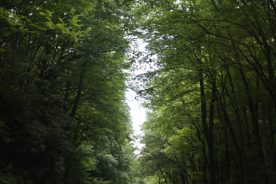 1f769efe-2745-11e6-a178-0a2c6093033d-IMG_8053