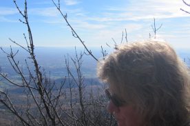 Looking toward Bedford from Flat Top Mountain eastern summit.