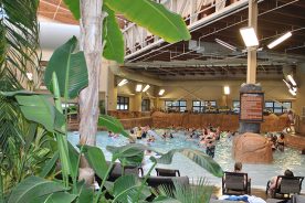 An assortment of plants overlooks the wave pool.