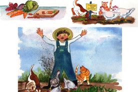 209f9c68-78d1-11e5-b80f-22000b078648-BankingSummer