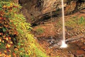 In the Monongahela National Forest. Portions of the West Virginia woodland are wild and fully undeveloped.