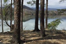 The pretty view onto Carvins Cove from an otherwise empty picnic area (3/17/18).