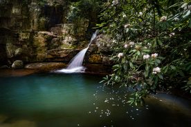 The Blue Hole waterfall is nestled in the Cherokee National Forest, in the Holston Mountain area near Elizabethton, Tennessee. From the photographer: “It is a short but very steep hike down from the parking area. On this summer day I lucked out to find the rosebay rhododendron in bloom but starting to lose blossoms into the water, making for a picturesque scene. There are several falls in a short distance down Mill Creek, but the one plunging into the Blue Hole is the main attraction. It’s a wonderful place to take a chilly plunge or just dip your toes during the summer.”
