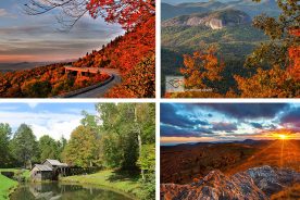 23a87828-507b-11e4-b5a3-22000a4f82a6-Collage