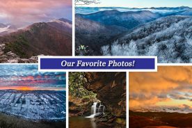 255bfcb2-bb8c-11e5-aa06-22000b078648-Collage