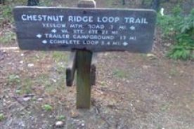 Chestnut Ridge Loop Trail
