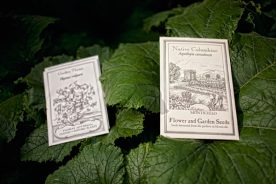 264a2c04-e60f-11e5-8ffd-22000b078648-JeffersonHeirloomSeeds