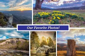 2795a6ae-f470-11e6-a7e5-0aea2a882f79-Collage