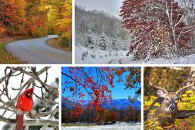 2806a130-6686-11e4-a3c7-22000a4f82a6-Fbook-pics-11-7-14