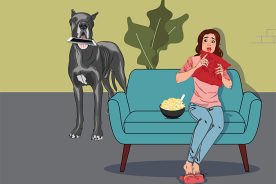 2860f474-c814-11e9-905d-12f1225286c6-millcreek-banner