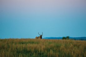 295ed932-6e0c-11f0-a6e9-1248ae80e59d-_DSC4776