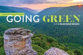 The Friends group for West Virginia’s Blackwater Canyon is dedicated to keeping the 10,000-acre “crown jewel” natural and diverse.